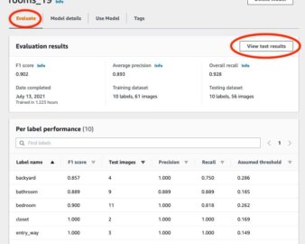 Model evaluation summary showing F1 score, average precision, and overall recall.