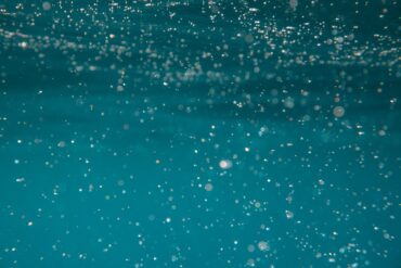Marine Snow Image Classification: What Underwater Images Can—and Can’t—Show