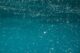 Marine Snow Image Classification: What Underwater Images Can—and Can’t—Show
